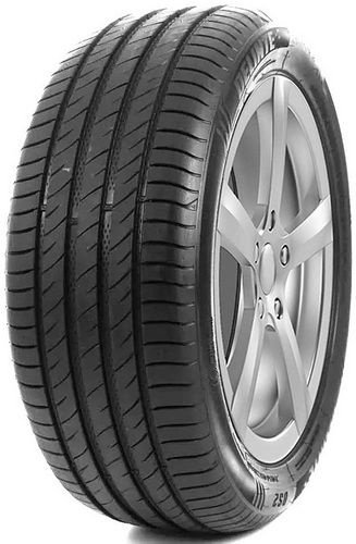 DELINTE DS-2 SUV 285/40 R21 109W  